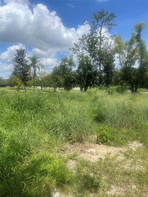 Tiny photo for 14435 Oak Street, Groveland, FL 34736 (MLS # S5128662)