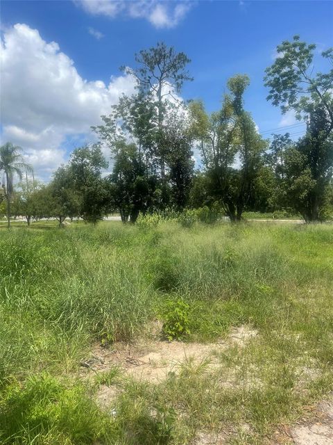 Tiny photo for 14435 Oak Street, Groveland, FL 34736 (MLS # S5128662)