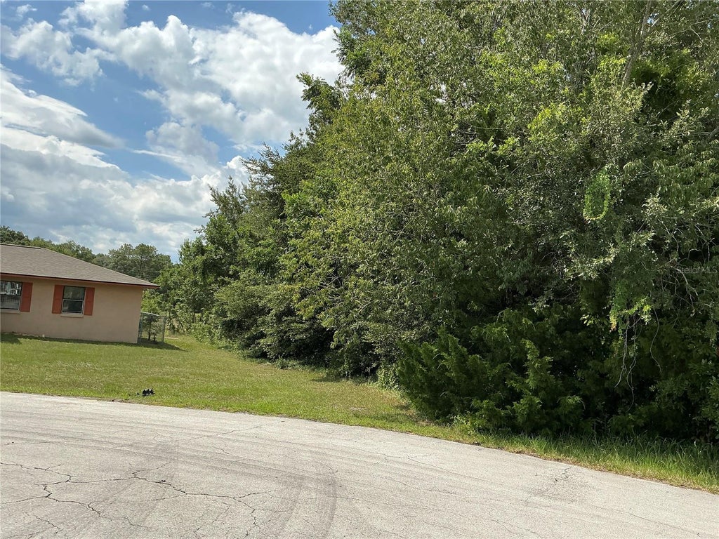 Photo of Dogwood Trail Run, Ocala, FL 34472 (MLS # OM732535)