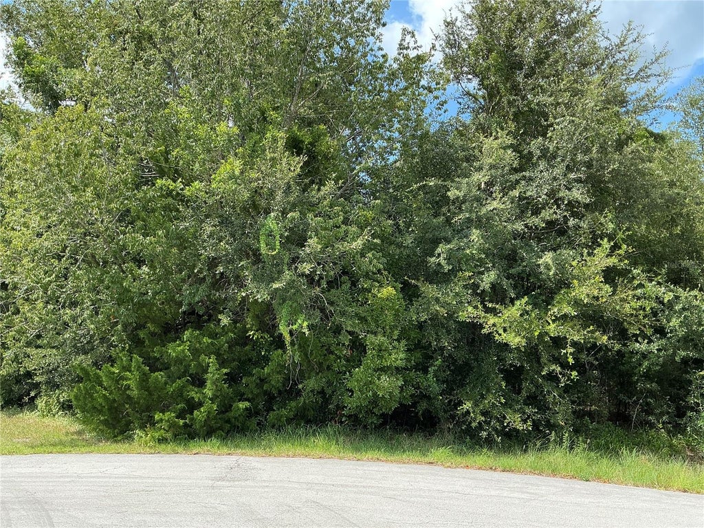 Photo of Dogwood Trail Run, Ocala, FL 34472 (MLS # OM732535)