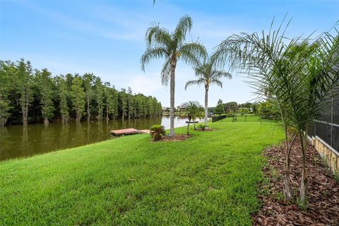 A home in TAMPA