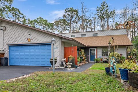 A home in PALM COAST