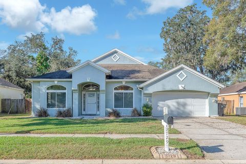 Photo of 3729 Hollow Wood Drive, Valrico, FL 33596 (MLS # TB8455396)
