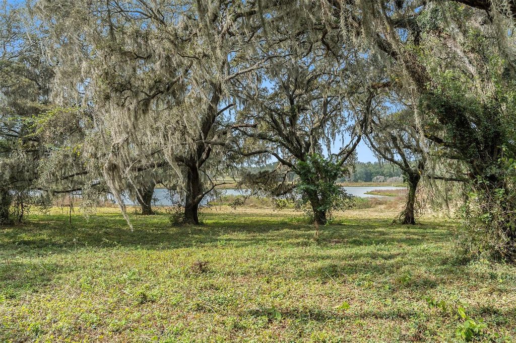 Photo of 0 19-24-21-0000-00600-0010, Dade City, FL 33526 (MLS # TB8433047)