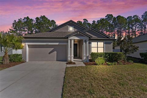 Photo of 20009 Hidden Glen Drive, Land O Lakes, FL 34638 (MLS # TB8460517)