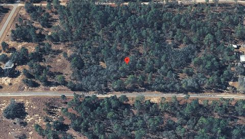 Tiny photo for 11320 SE 131st Ter, Dunnellon, FL 34431 (MLS # O6395296)