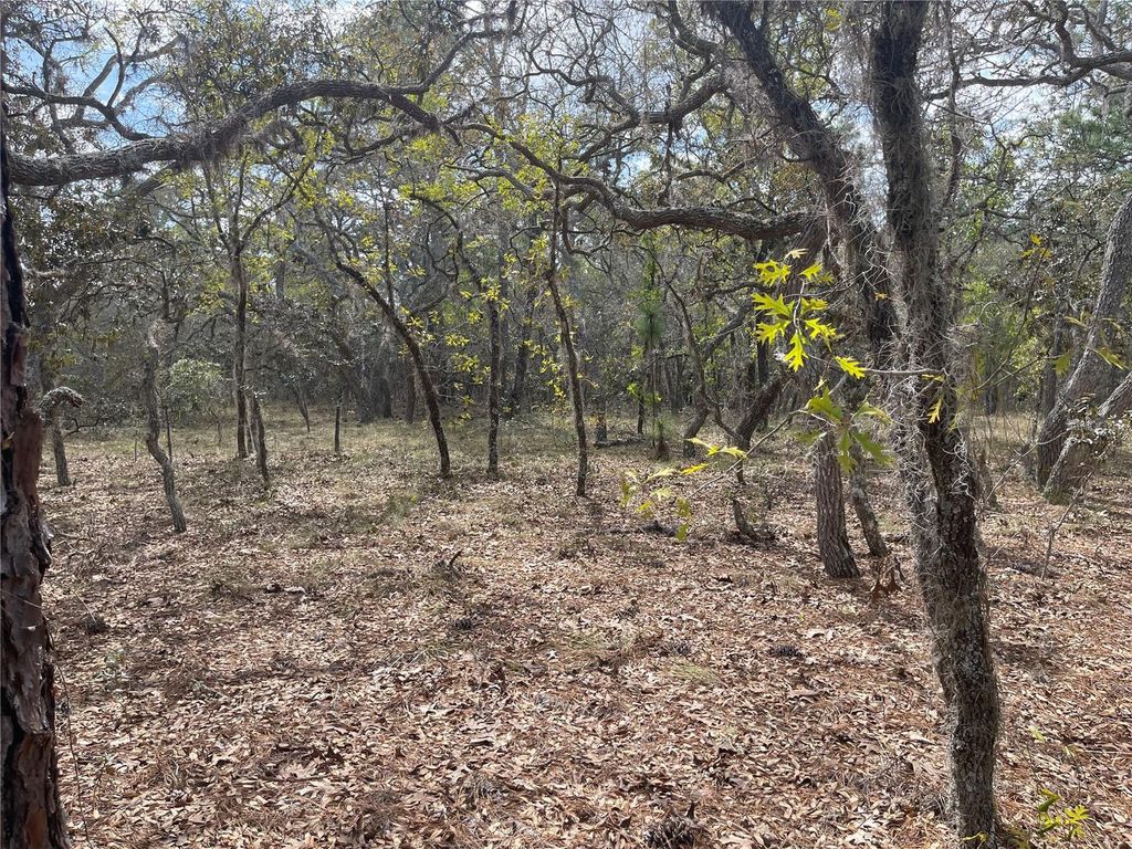 Photo of 11320 SE 131st Ter, Dunnellon, FL 34431 (MLS # O6395296)