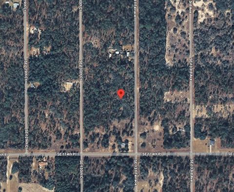 Tiny photo for 11320 SE 131st Ter, Dunnellon, FL 34431 (MLS # O6395296)
