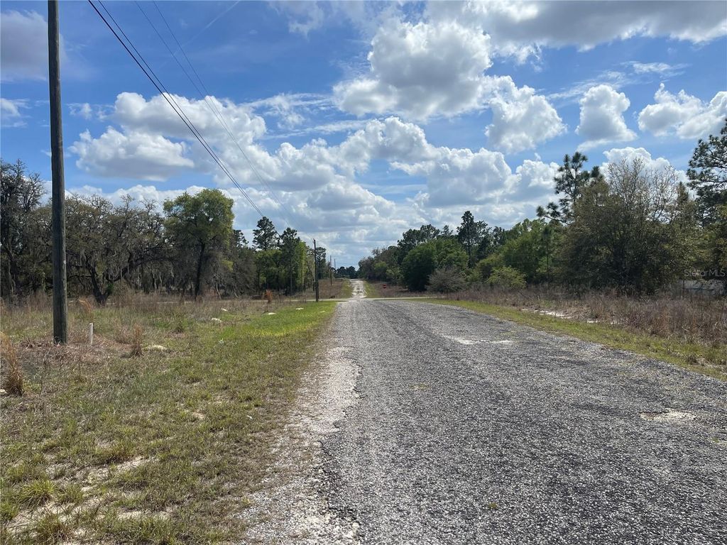 Photo of 11320 SE 131st Ter, Dunnellon, FL 34431 (MLS # O6395296)