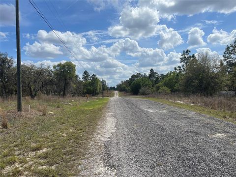 Tiny photo for 11320 SE 131st Ter, Dunnellon, FL 34431 (MLS # O6395296)