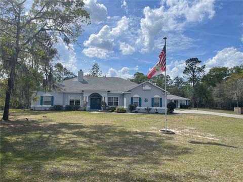 Tiny photo for 11320 SE 131st Ter, Dunnellon, FL 34431 (MLS # O6395296)