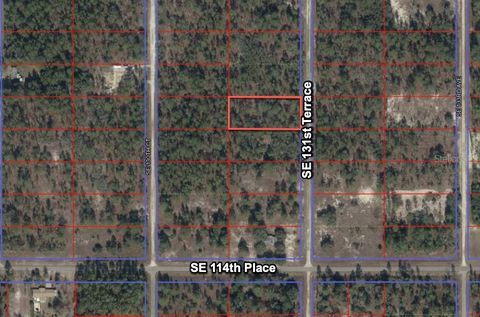 Tiny photo for 11320 SE 131st Ter, Dunnellon, FL 34431 (MLS # O6395296)