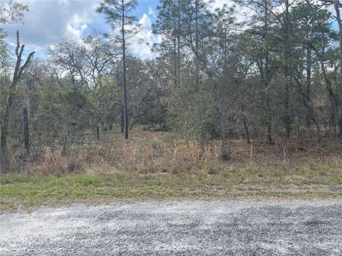 Tiny photo for 11320 SE 131st Ter, Dunnellon, FL 34431 (MLS # O6395296)