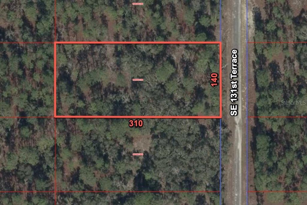 Photo of 11320 SE 131st Ter, Dunnellon, FL 34431 (MLS # O6395296)