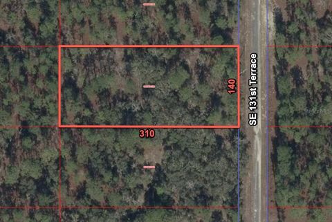 11320 SE 131ST TER DUNNELLON FL 34431