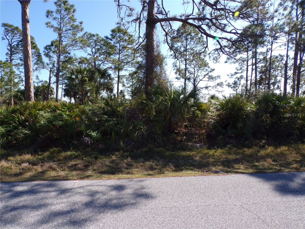 Photo of 12070 Ashley Avenue, Port Charlotte, FL 33981 (MLS # C7505068)