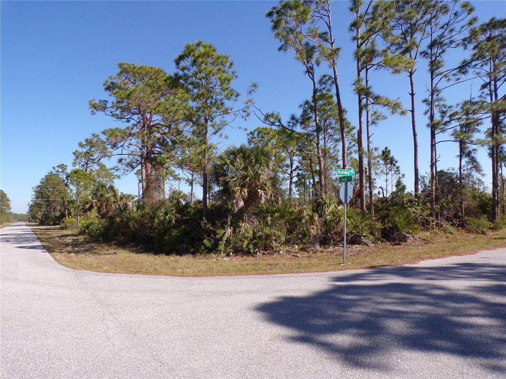 Photo of 12070 Ashley Avenue, Port Charlotte, FL 33981 (MLS # C7505068)