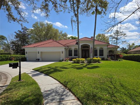 9127 WOODRIDGE RUN DRIVE TAMPA FL 33647