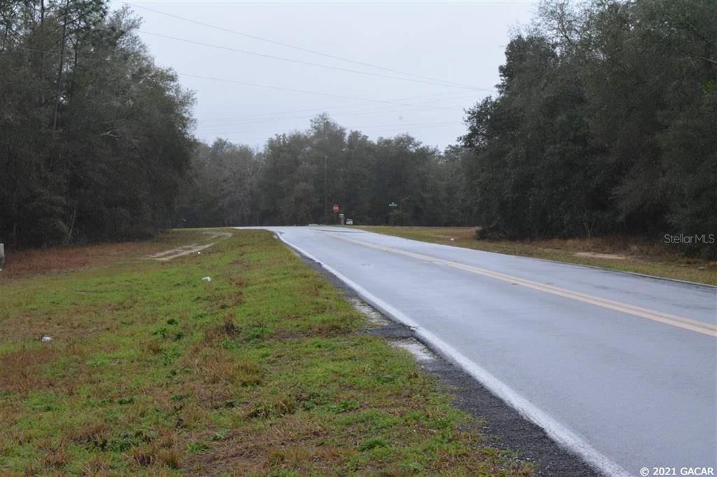 Big Tree Lakes - Land