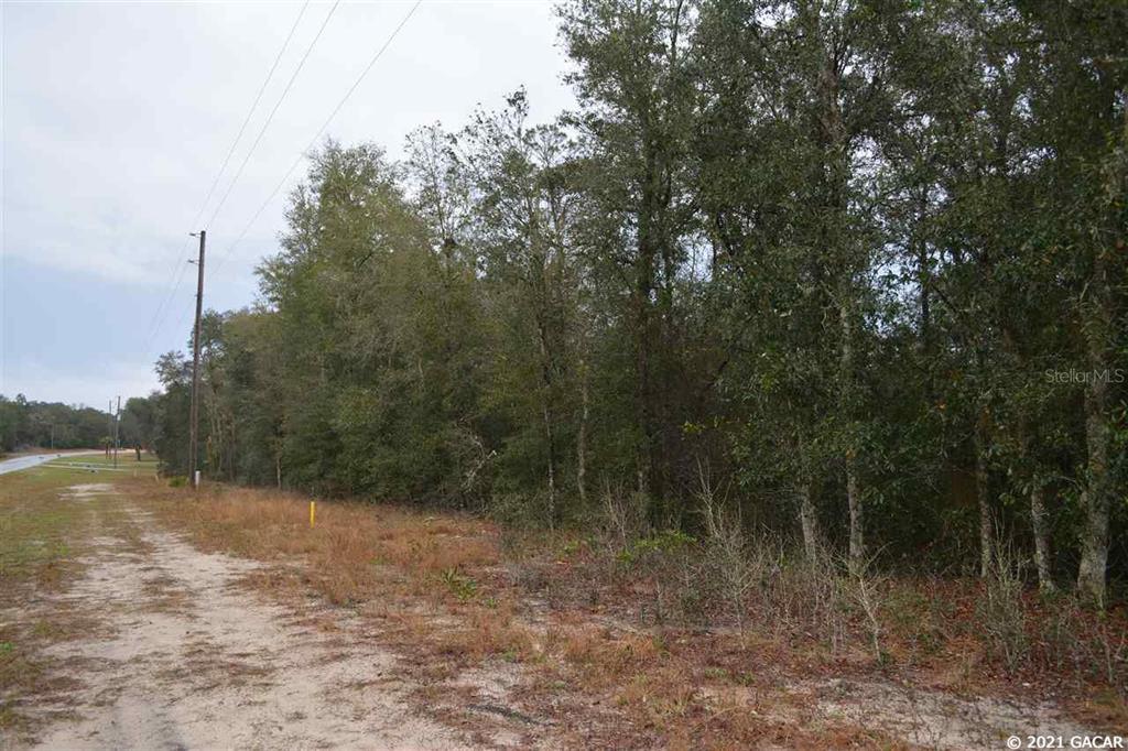 Big Tree Lakes - Land