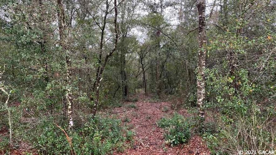 Gorgeous oaks throughout, beautiful trails and abundant wildlife if that is what you seek. Your own perfect paradise off County Road 352 in Keystone Heights. Paved road frontage.This lot is beautiful and full of some much potential.  Can build your dream home or bring Mobile Home to make it the perfect spot. Lot next to this one is also for sale if you wanted a larger parcel. Easy commute to Orange Park, Green Cove Springs, or Keystone Heights. Open Builder.