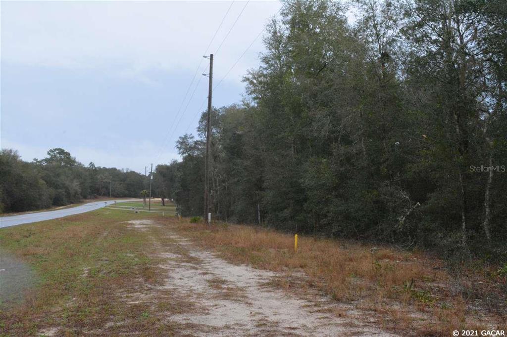 Big Tree Lakes - Land