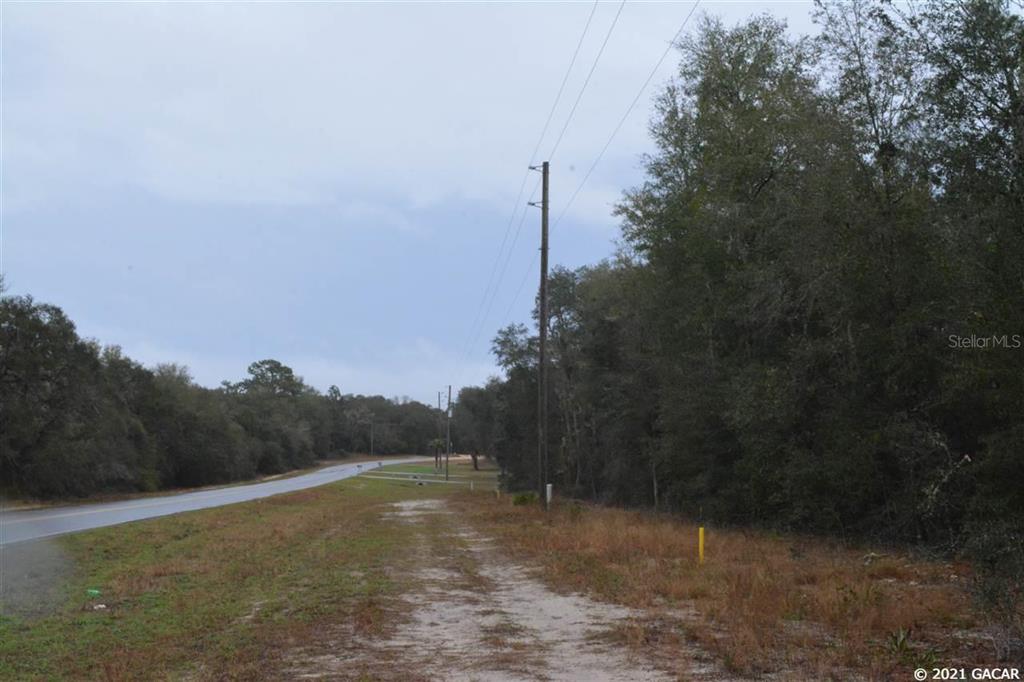 Big Tree Lakes - Land