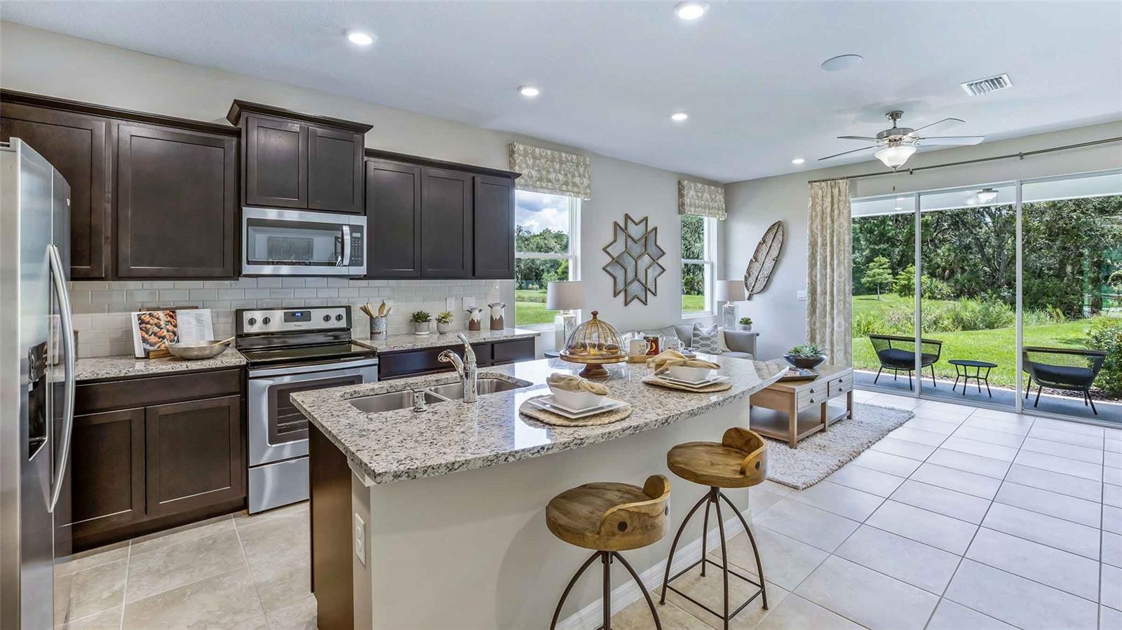 11393 VELVET APRICOT DRIVE