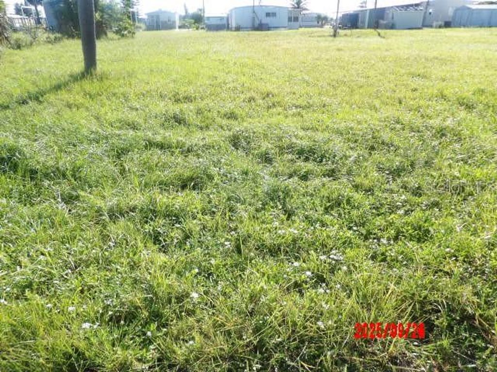 Photo of 1339 Ibis Drive, Englewood, FL 34224 (MLS # D6143950)