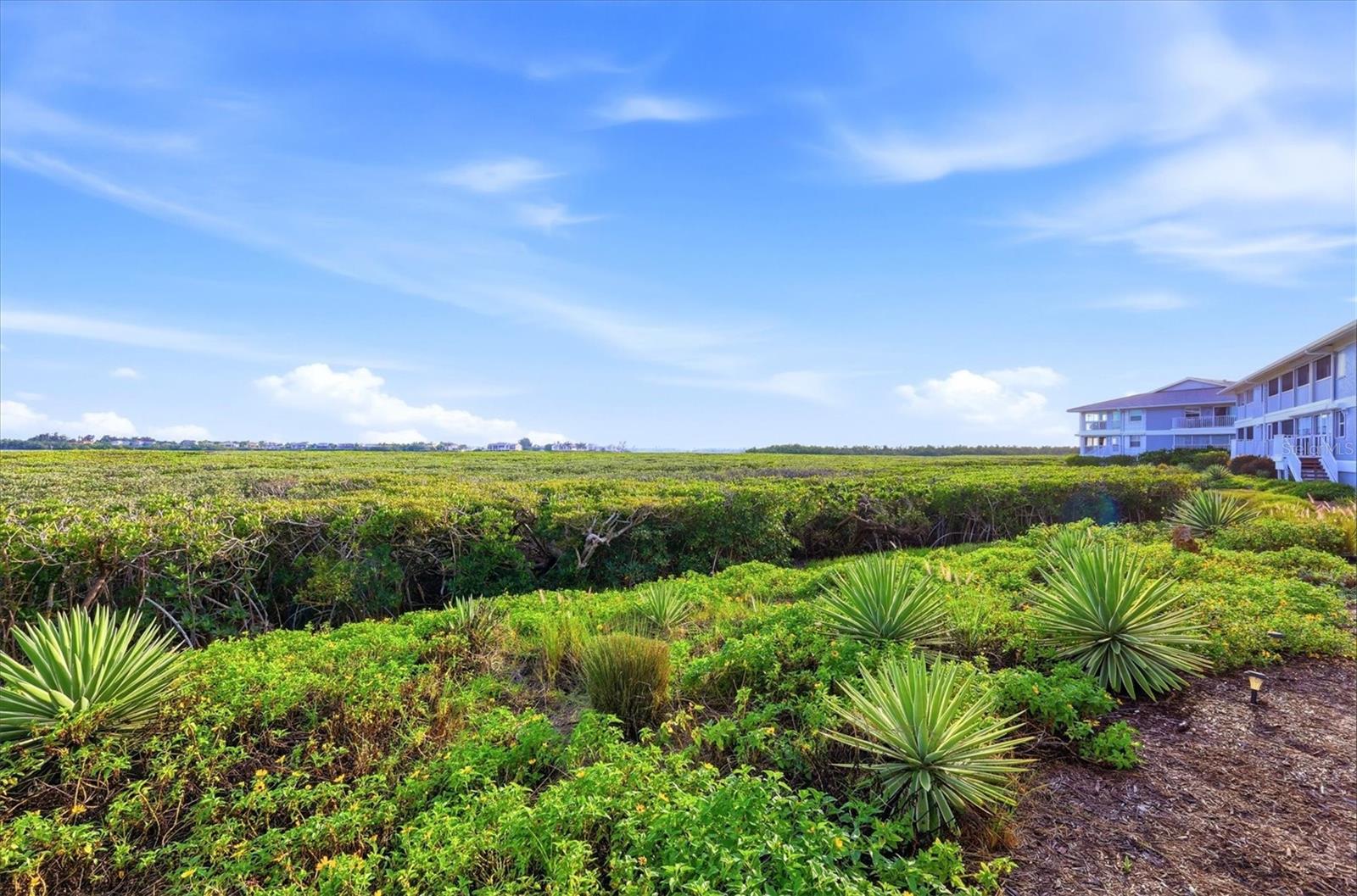 EDGEWATER POINTE AT PERICO II - Residential