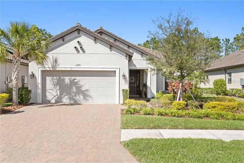 Photo of 20173 Umbria Hill Drive, Tampa, FL 33647 (MLS # TB8450956)