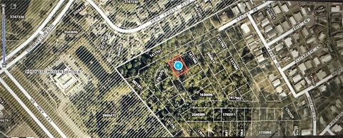 Lots 77 & 78 PARK FOREST BOULEVARD MOUNT DORA FL 32757