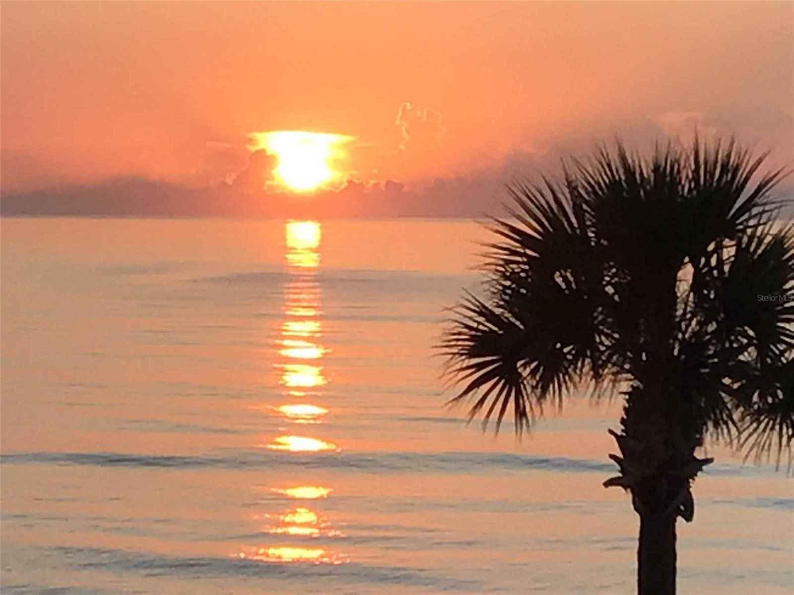 Daytona Beach Resort & Conf Center - Residential