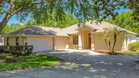 Photo of 14531 Wishing Wind Way, Clermont, FL 34711 (MLS # G5112022)