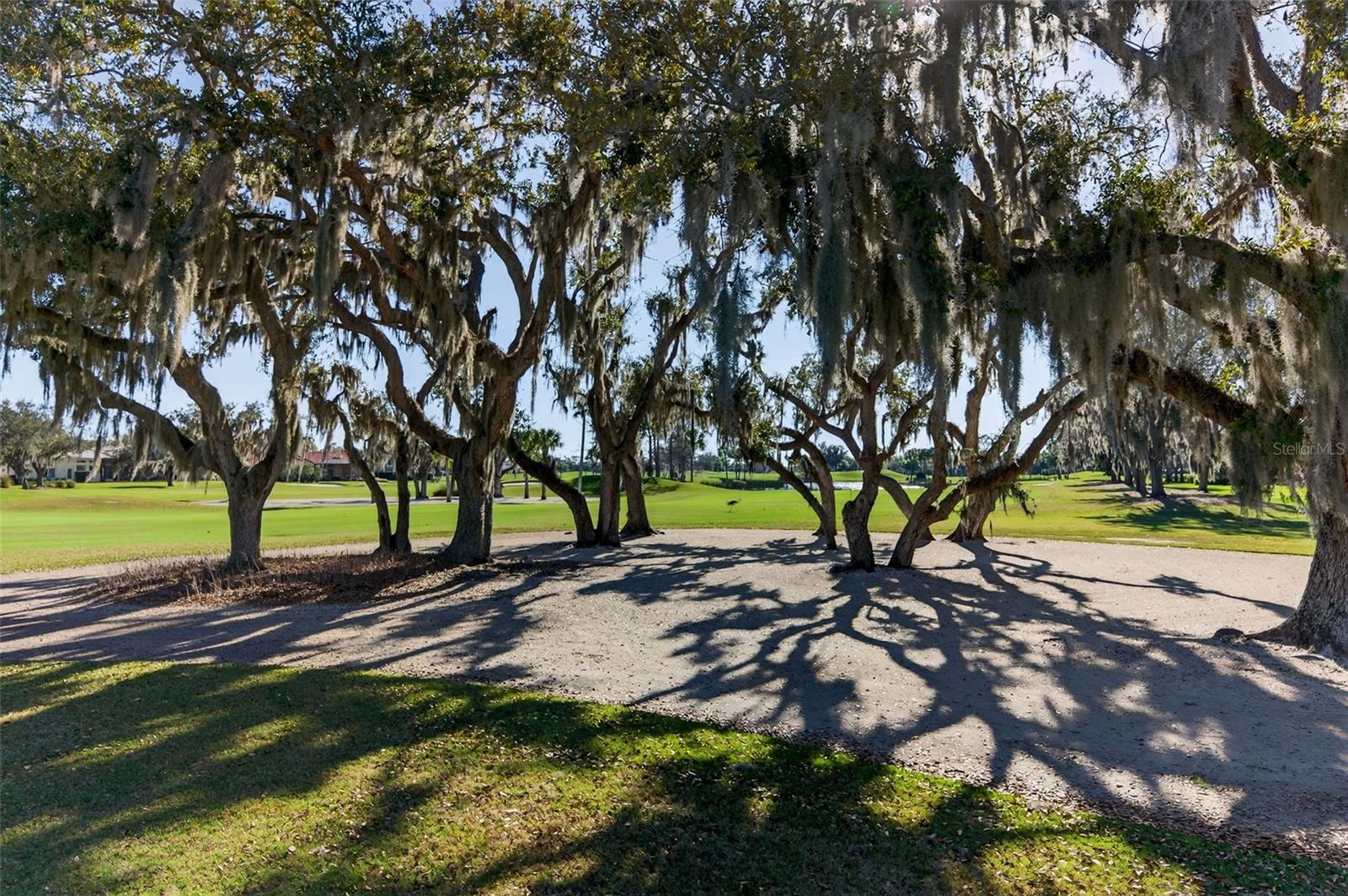 LAUREL OAK ESTATES SEC 10 - Residential