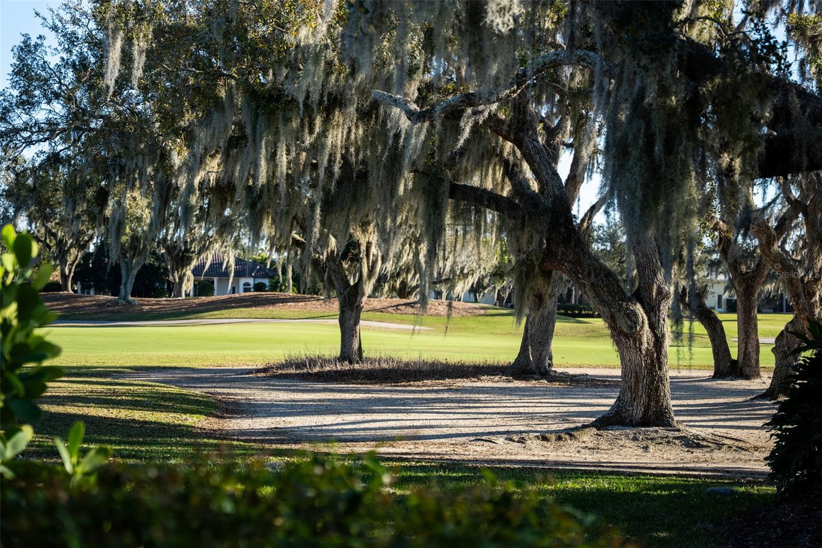 LAUREL OAK ESTATES SEC 10 - Residential