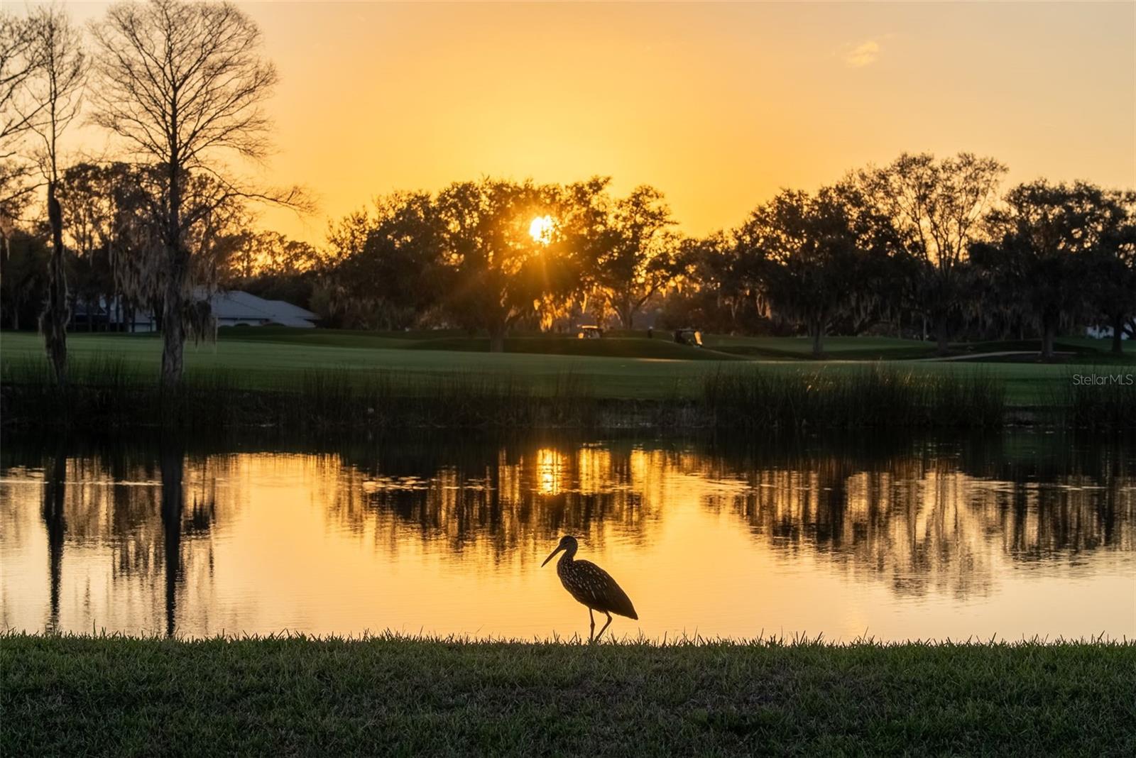 LAUREL OAK ESTATES SEC 10 - Residential