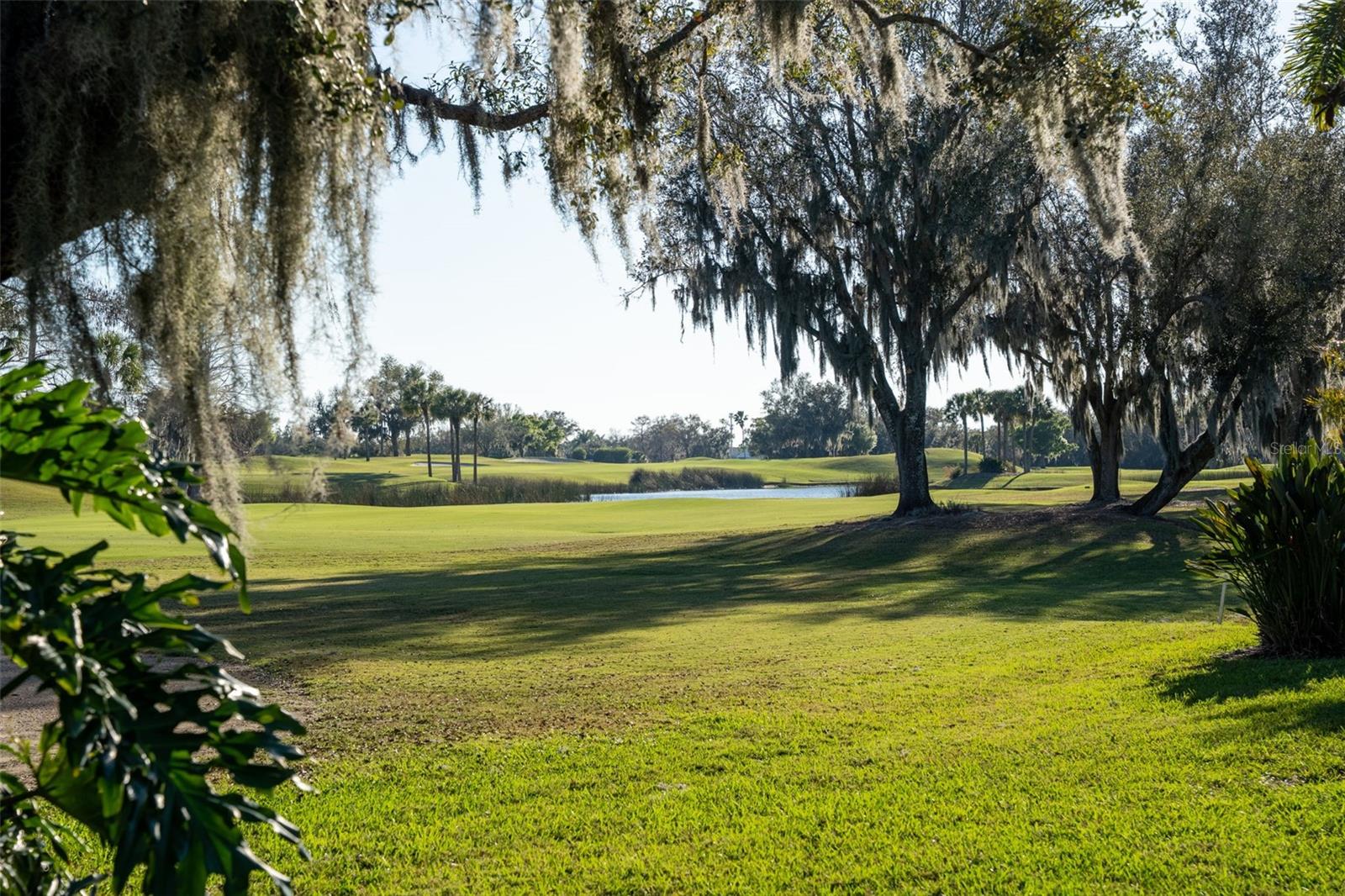 LAUREL OAK ESTATES SEC 10 - Residential