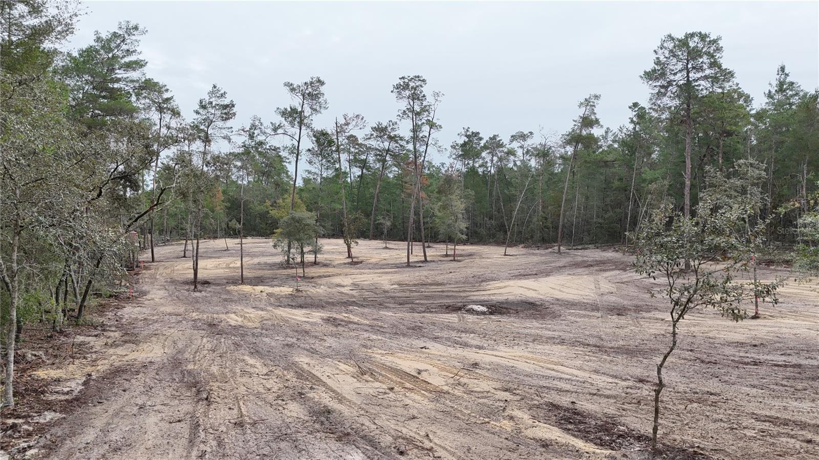 Discover your slice of Florida paradise with this beautiful 1.25-acre cleared lot in Williston! Ready for your dream home or mobile
home, this spacious property comes with a completed survey, saving you time and money. Located in a peaceful, rural setting with easy
access to Gainesville and Ocala, you'll enjoy the perfect blend of privacy and convenience. Listed at just $34,900, and best of all, the
seller is offering owner financing, making this an excellent opportunity for buyers looking to invest in land with flexible terms. Don't
miss your chance to own this prime piece of Levy County!