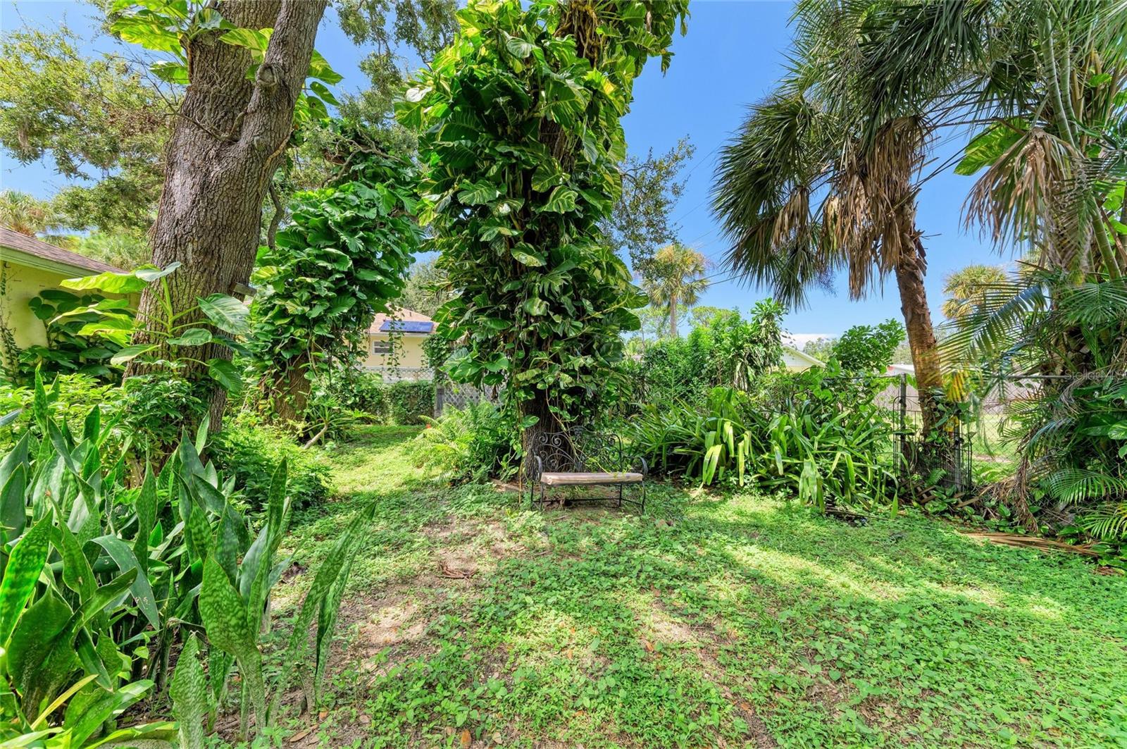 SOUTH VENICE - Residential