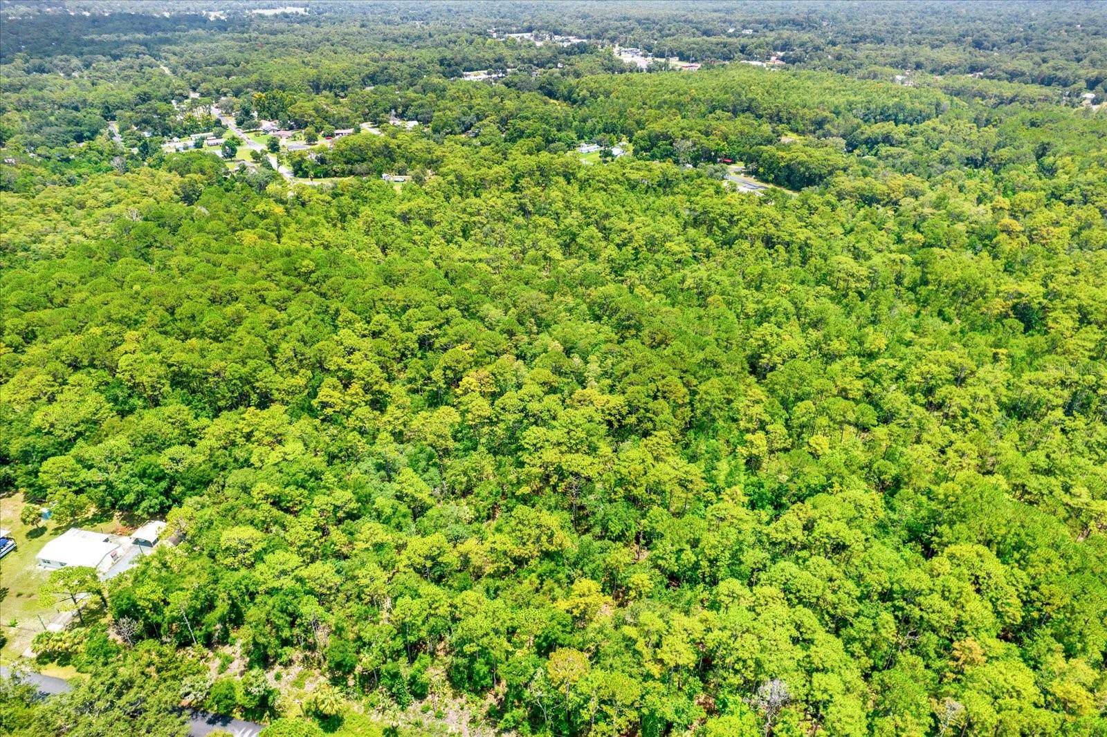 HOMOSASSA (ALL UNITS) (3320) - Land
