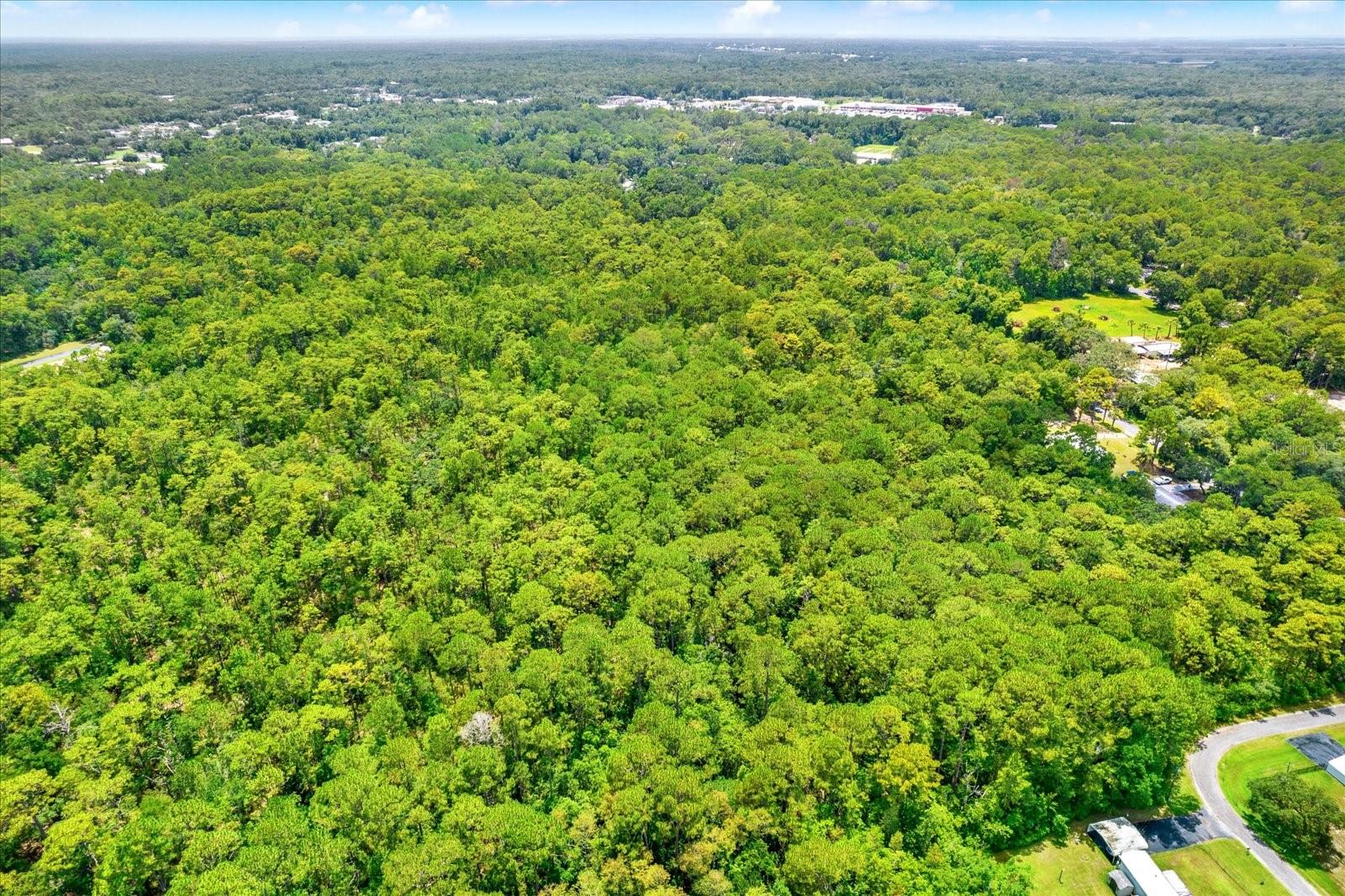 HOMOSASSA (ALL UNITS) (3320) - Land