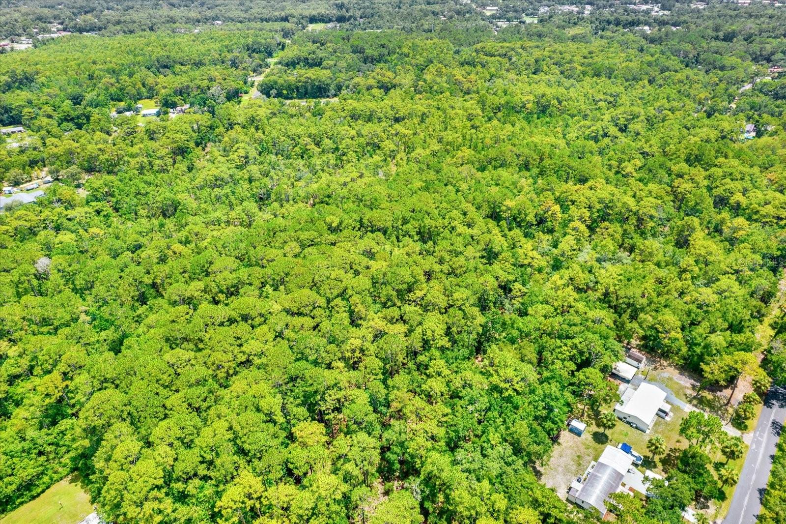 HOMOSASSA (ALL UNITS) (3320) - Land