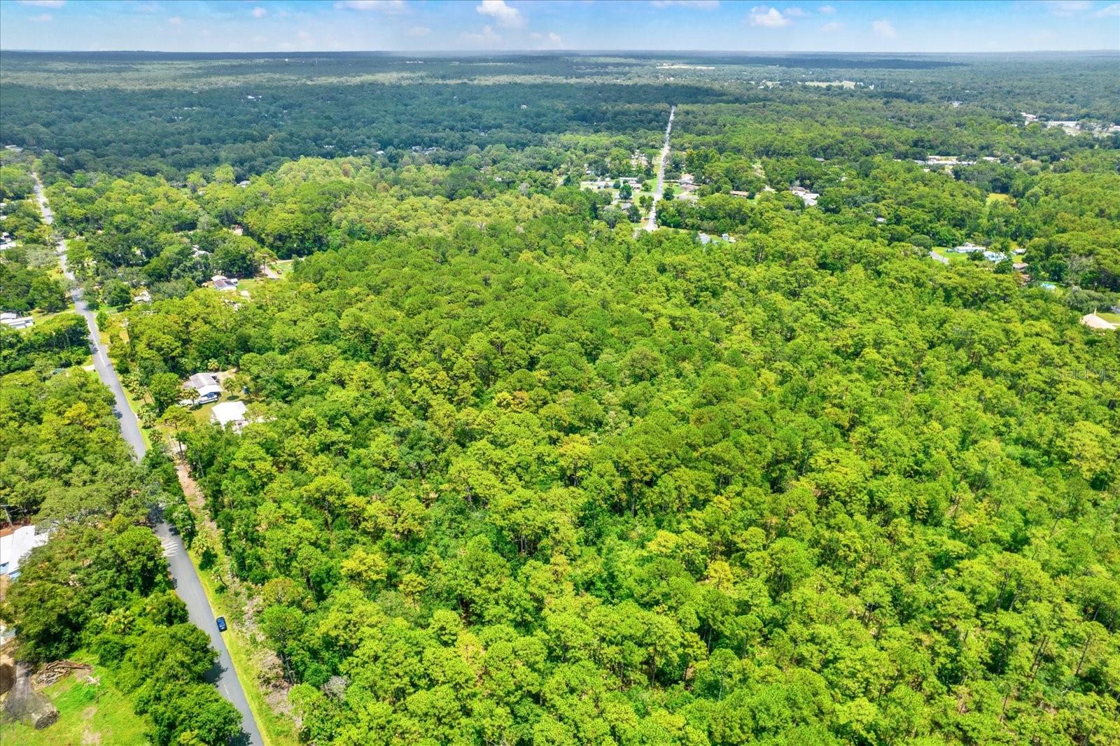 HOMOSASSA (ALL UNITS) (3320) - Land