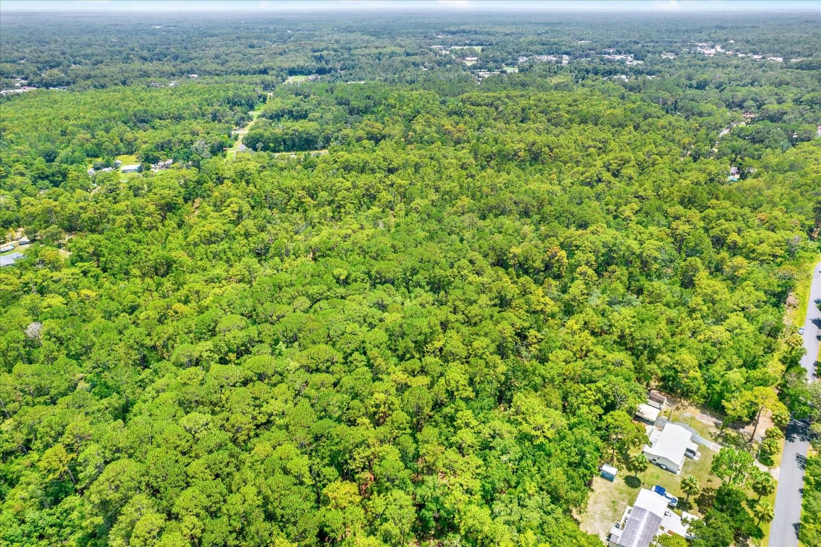 HOMOSASSA (ALL UNITS) (3320) - Land