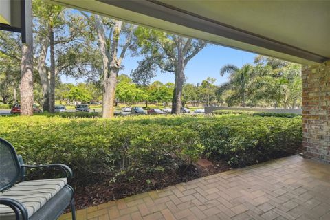 A home in PALM HARBOR