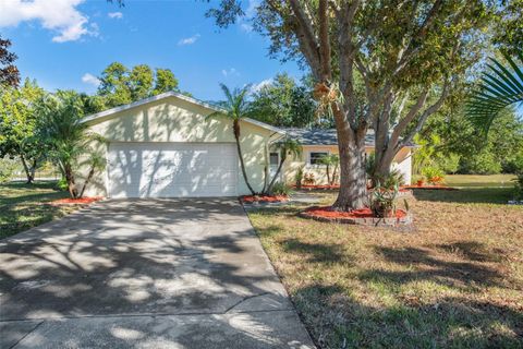 A home in ORLANDO