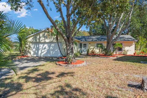 A home in ORLANDO