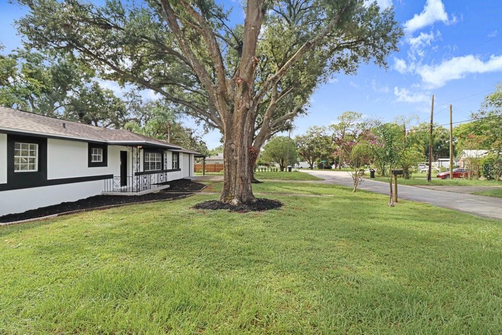 12113 MIDLAKE DRIVE
