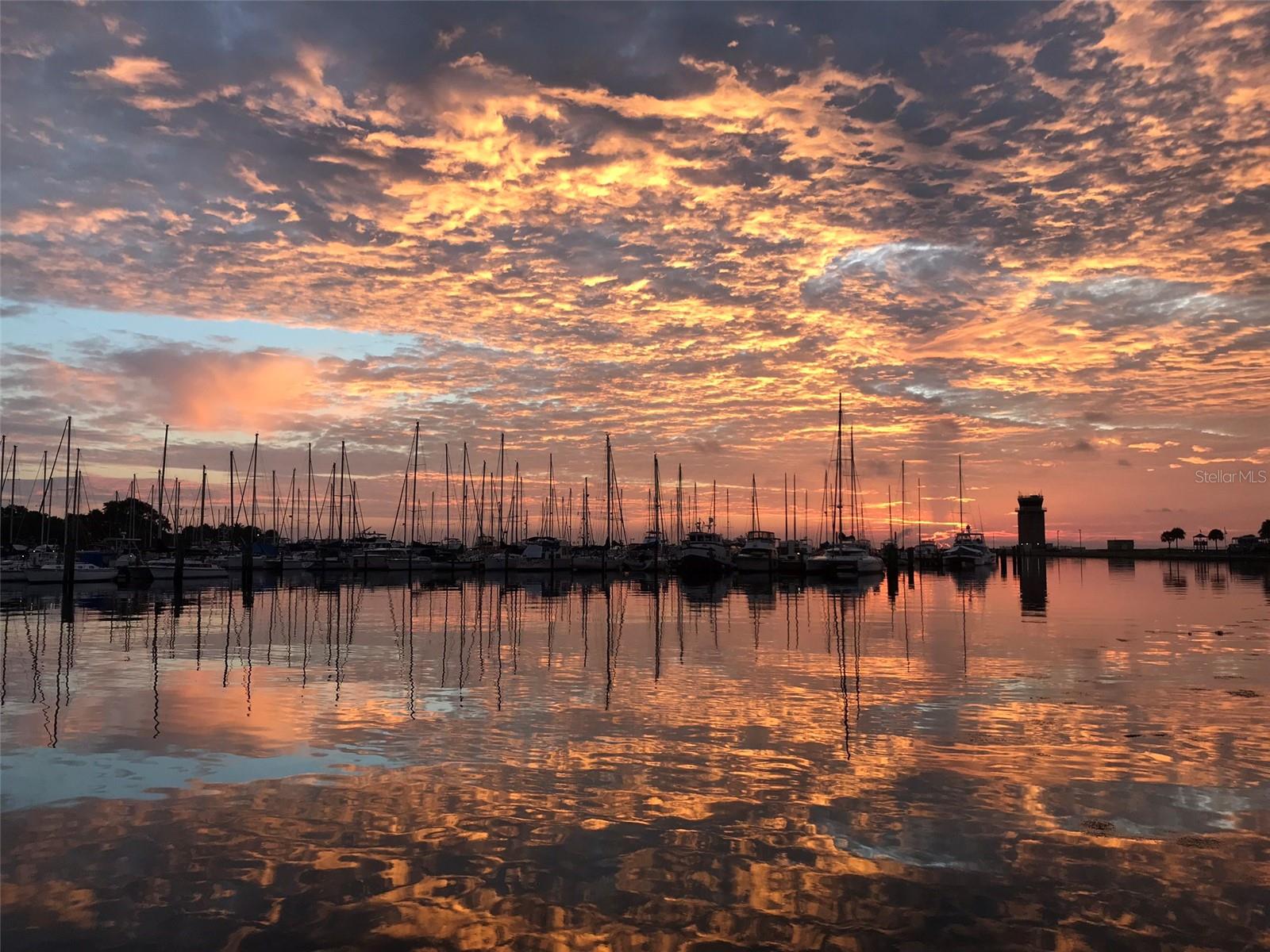 FLORI DE LEON APTS CO-OP - Residential